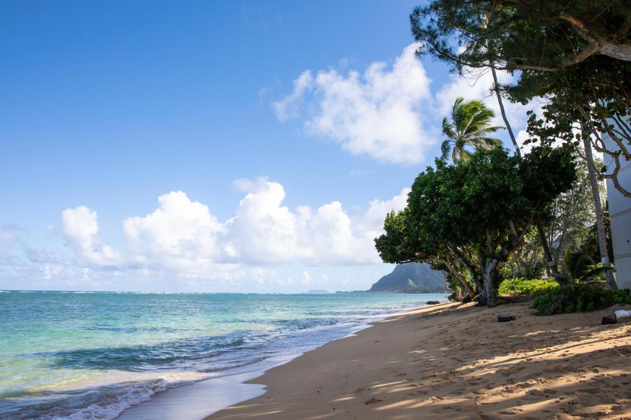 Breezy Beachfront Bali-Style Haven 180 Degree Oceanview Hau'ula Esterno foto